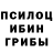 Галлюциногенные грибы мицелий leyla Karassay