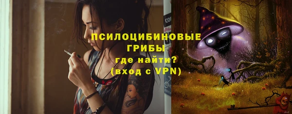 mdpv Белокуриха