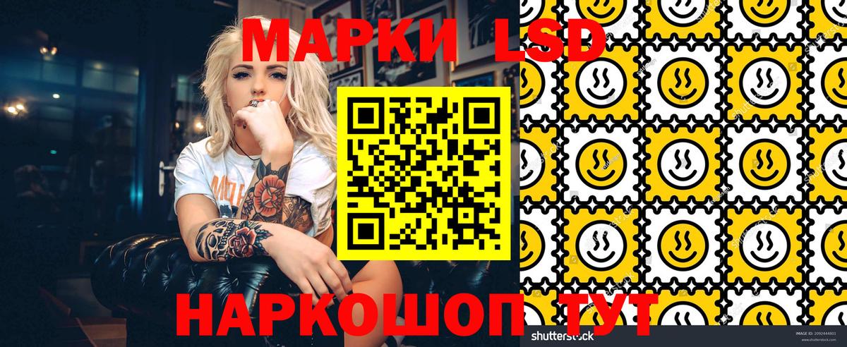 Меф Петропавловск-Камчатский